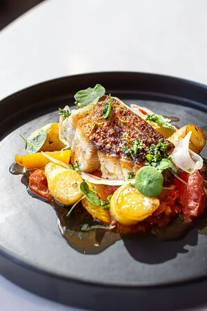 3 فولفغانغ باك