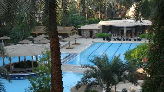 مطعم إل أواسيس