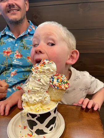 ذا يارد ميلك شيك بار