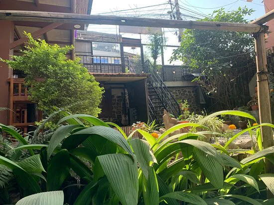 مطعم باسوري