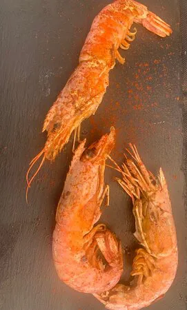 سيرفيسيريا فرايدوريا إنسبيرو