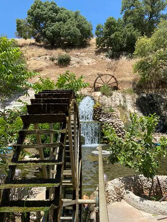 مطعم البيارة