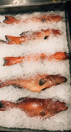 Sultana Seafood Resturant