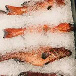 Sultana Seafood Resturant