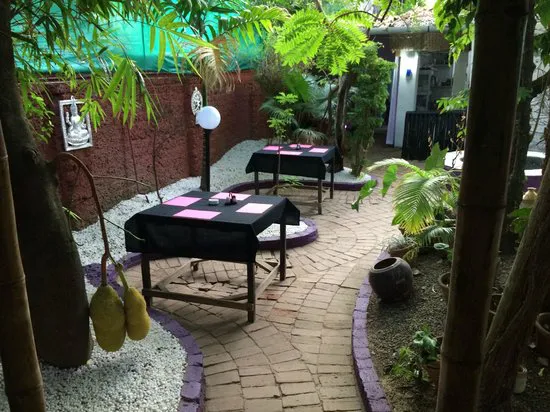 جاردن سيكريت، كوتشي