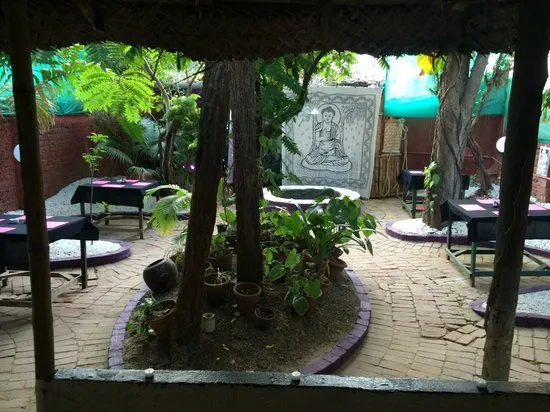 جاردن سيكريت، كوتشي