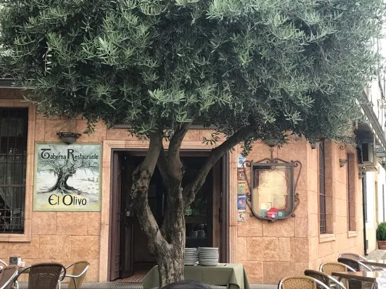 El Olivo Restaurant