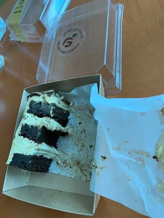 شركة خالية من الذنب