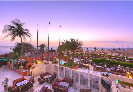 مطعم النخيل