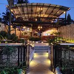 بيلا كيتشن  بار