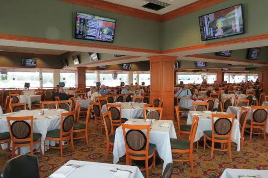 المليونيرات رو & سكاي تراس