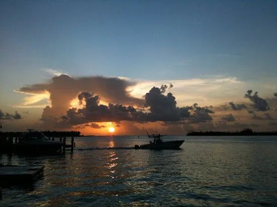 The Sunset Tiki Bar & Grille, الولايات المتحدة الأمريكية