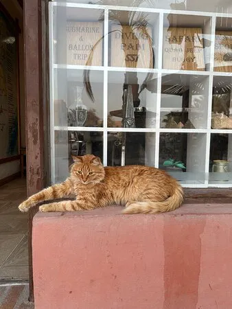 Tamr Henna Restaurant