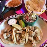 الإغوانا الحمراء 2