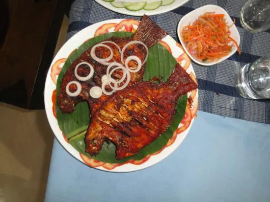 مطعم سي فود هاربور، كوتشي