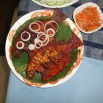 مطعم سي فود هاربور، كوتشي