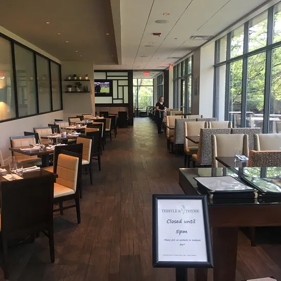 الشوك والزعتر