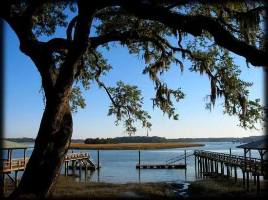 مقهى دريفتاواي
