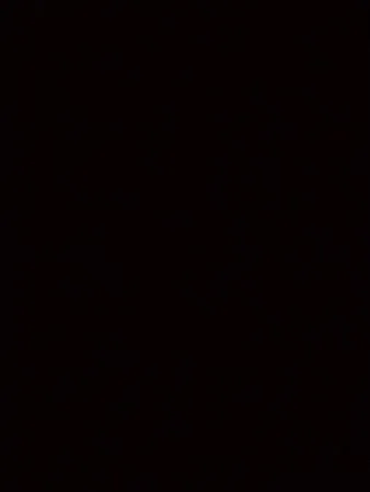 ساندويتشات Surfside Shoppe