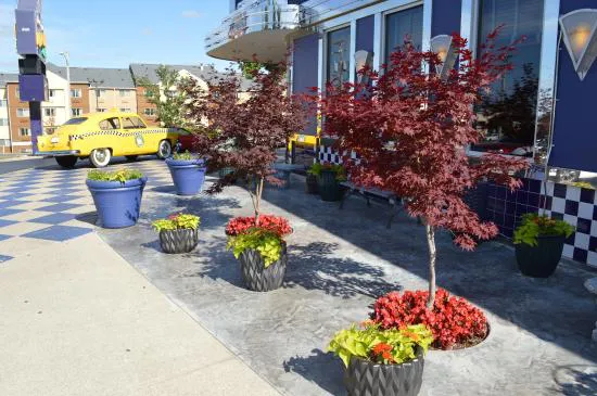 Jackie B. Goode's Uptown Cafe