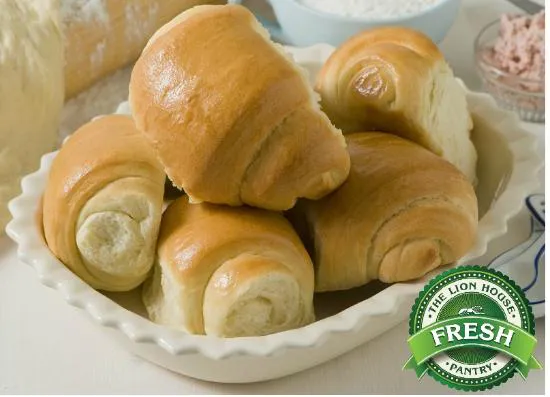 ذا ليون هاوس