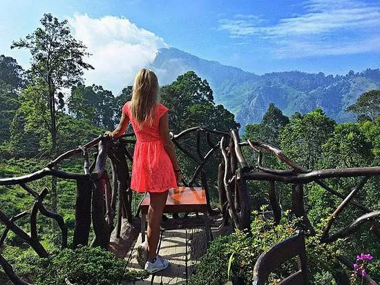 مطعم إيلا فلاور جاردن