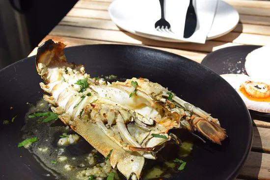 Claypots Evening Star