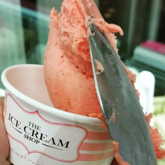The Ice Cream Shop