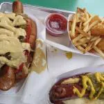 فريتسي الكلب