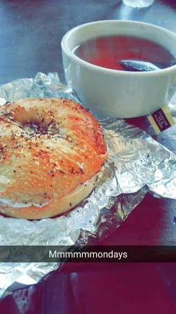 مزارع نورماندي