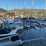 مكعب القهوة