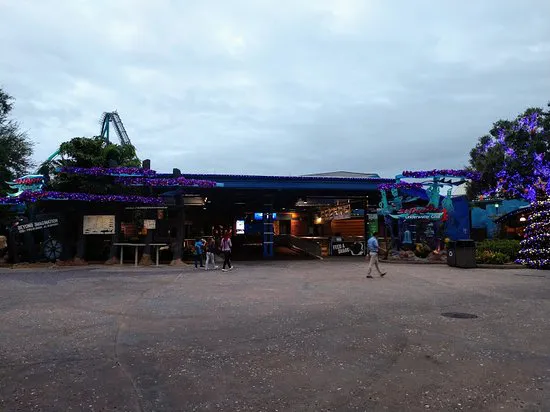 أسماك القرش تحت الماء الشواية