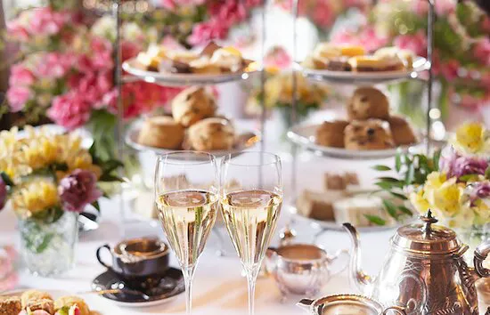 افترنون تي إن بريستونفيلد، إدنبرة