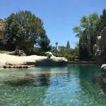 مقهى تريهاوس