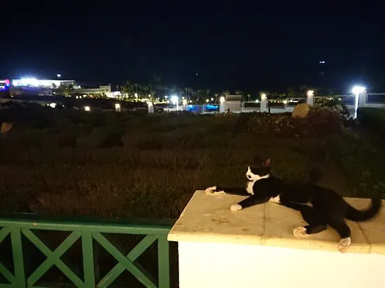 مطعم ميرميد، شرم الشيخ