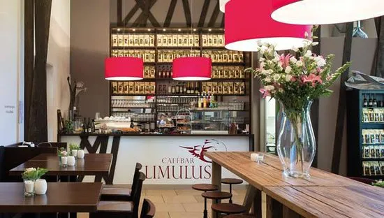 Cafe Bar Limulus