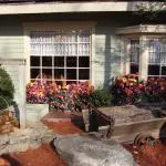 مطعم مولي ميل