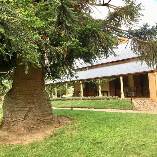 مقهى لانيون