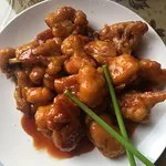 السعادة النباتية