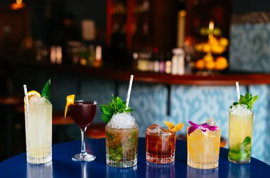 الأسد الصالح