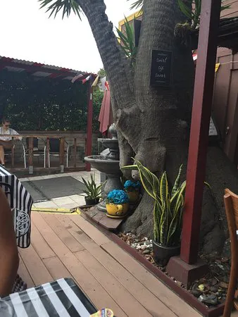 مقهى المؤتمر