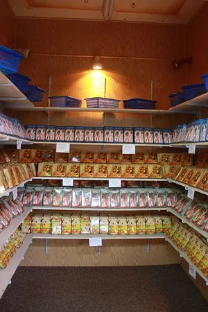 محل شوكولاتة مصر