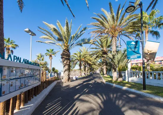 La Palapa Beach Club