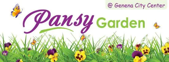 Pansy Garden cafe