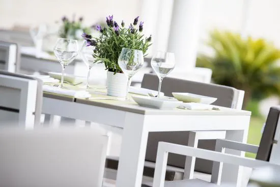 حديقة الشيف