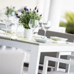 حديقة الشيف