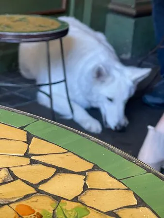 مخبز كوكولا