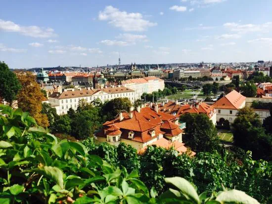 Panorama Express Cafe