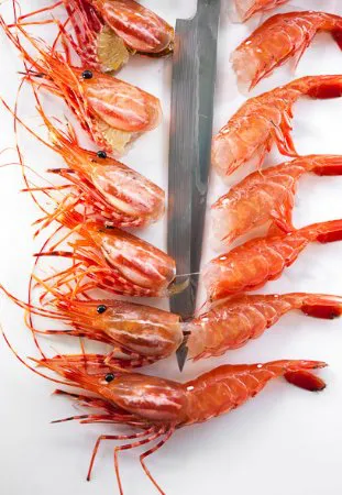 Blue Ribbon Sushi Bar & Grill