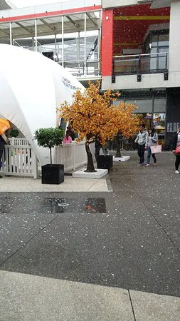 ديغاني دوكلاندز